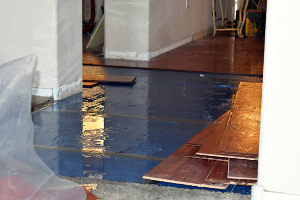 Professional Emergency Water Damage Restoration technician working in New Douglas, IL